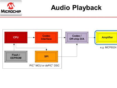 Microchip